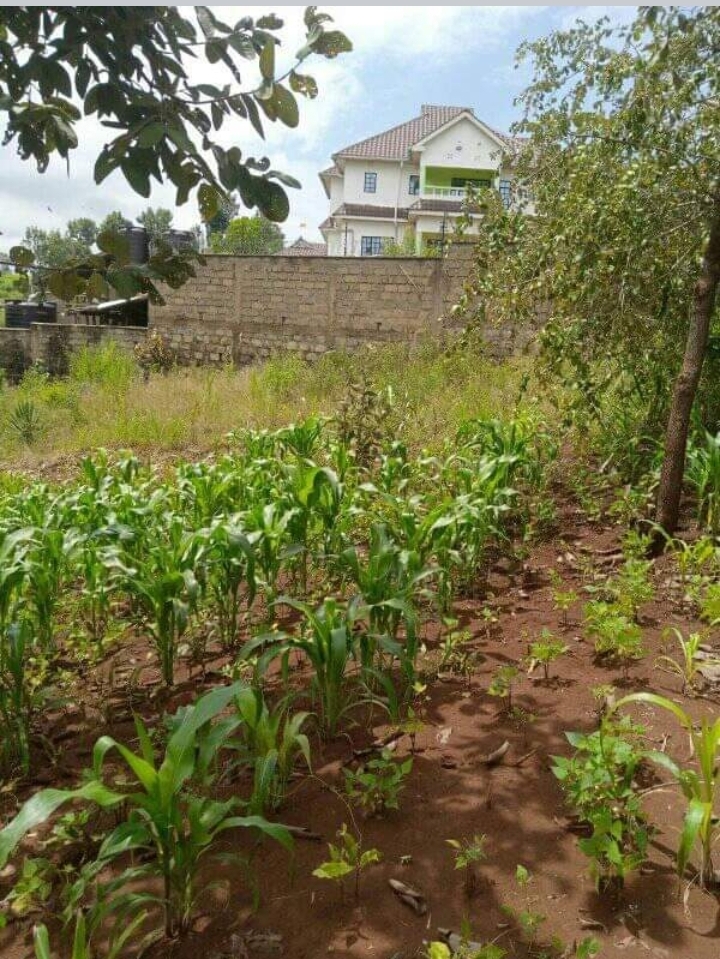 40 by 80 plot at kenol town