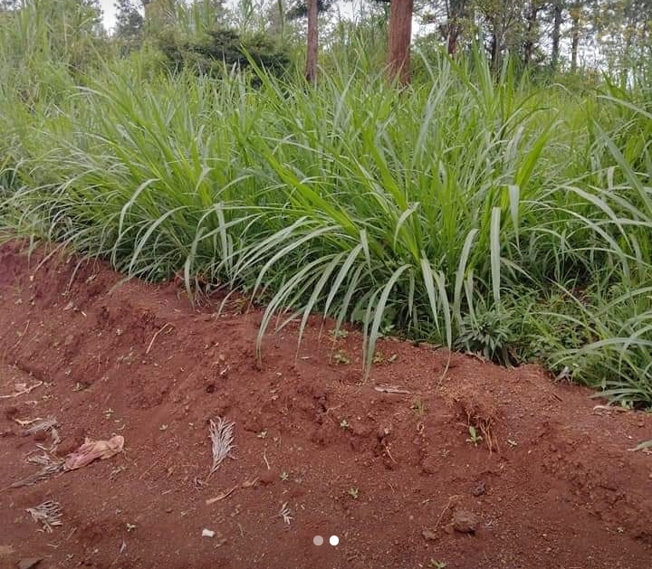 1.5 acres for sale at gatundu.
