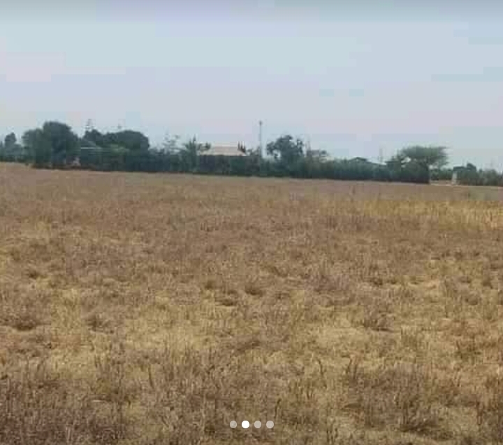 50 by 100 for sale at Malaa