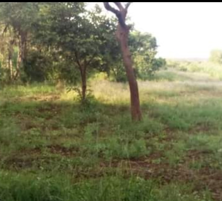 1 acre of land Itabua meru county