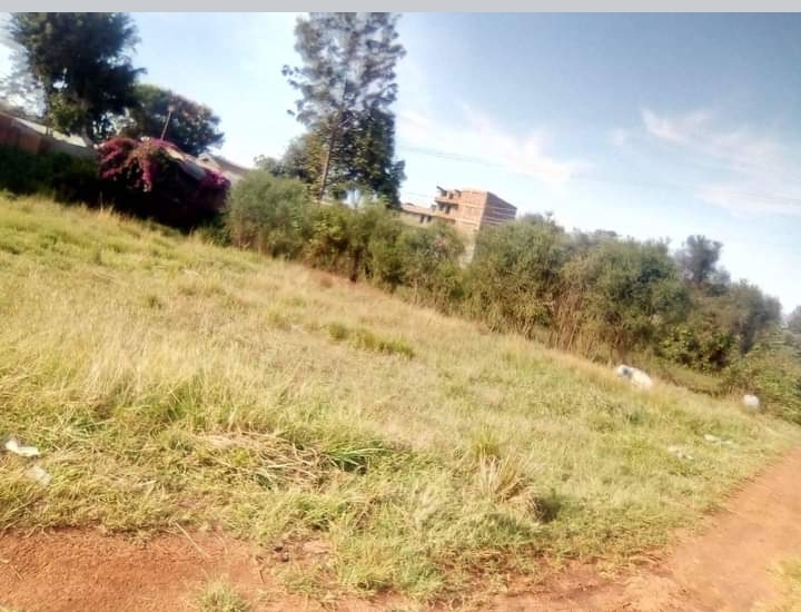 50by 80 plot at Gachororo juja.