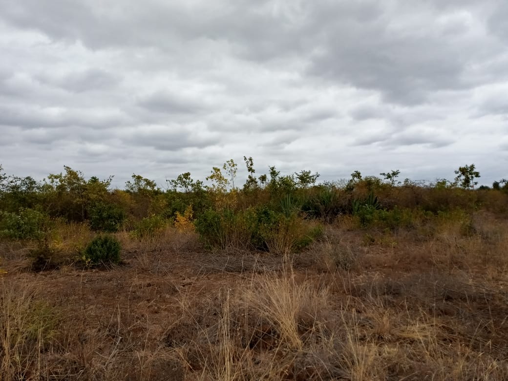 60 acres on sale in Mbeere Embu