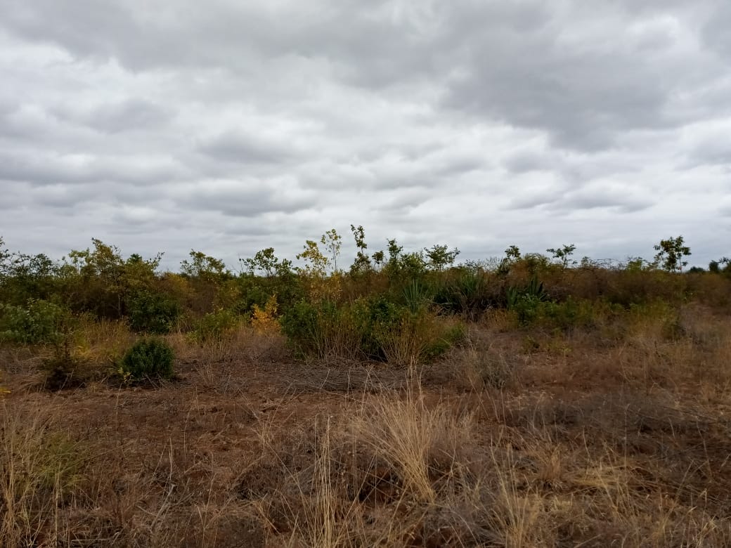 60 acres on sale in Mbeere Embu