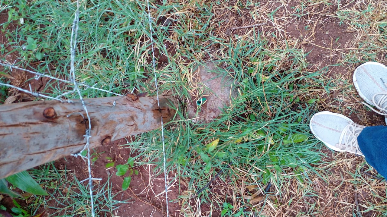 50 by 100 plot for sale in Royal Ndeiya ,Limuru