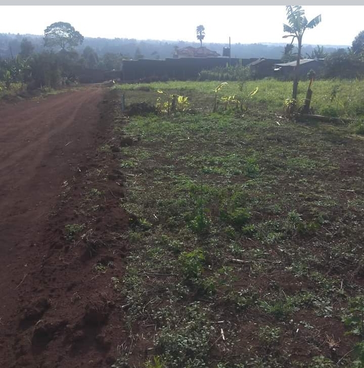 50 by 100 for sale in kikuyu 