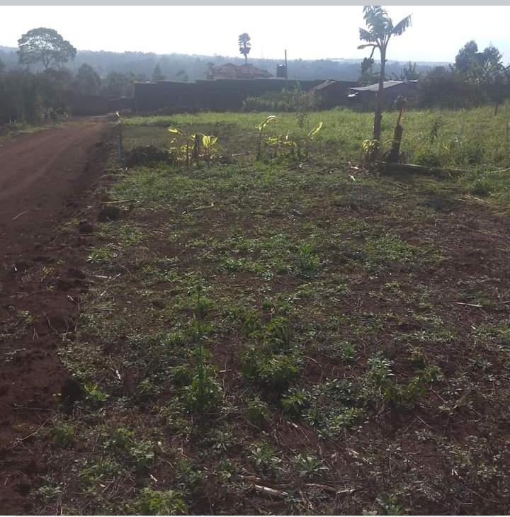 50 by 100 for sale in kikuyu 
