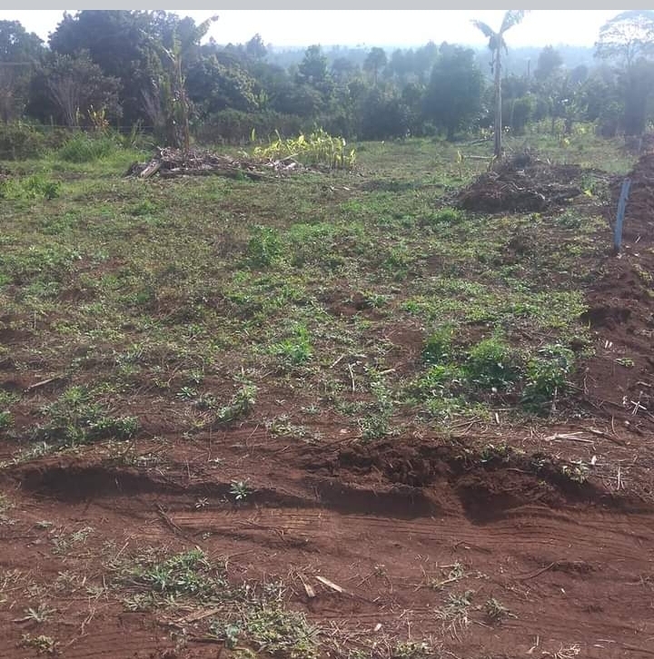 50 by 100 for sale in kikuyu 