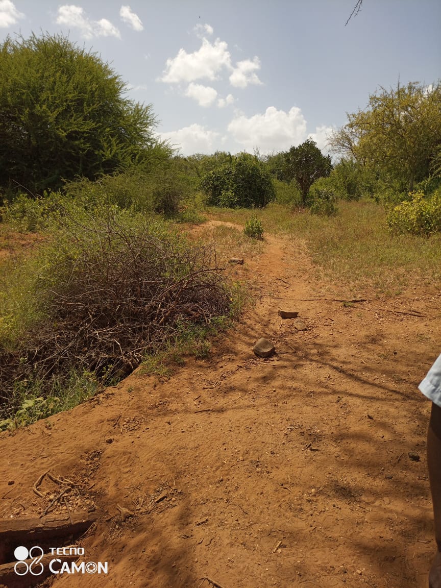 725 ACRES AGRICULTURAL LAND IN MAKUENI COUNTY FOR SALE