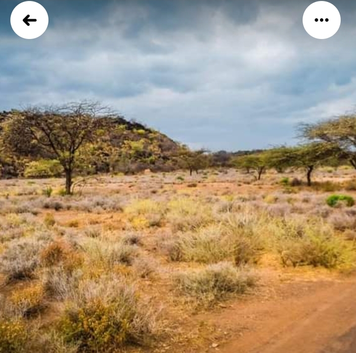 50 by 100 for sale at tinga