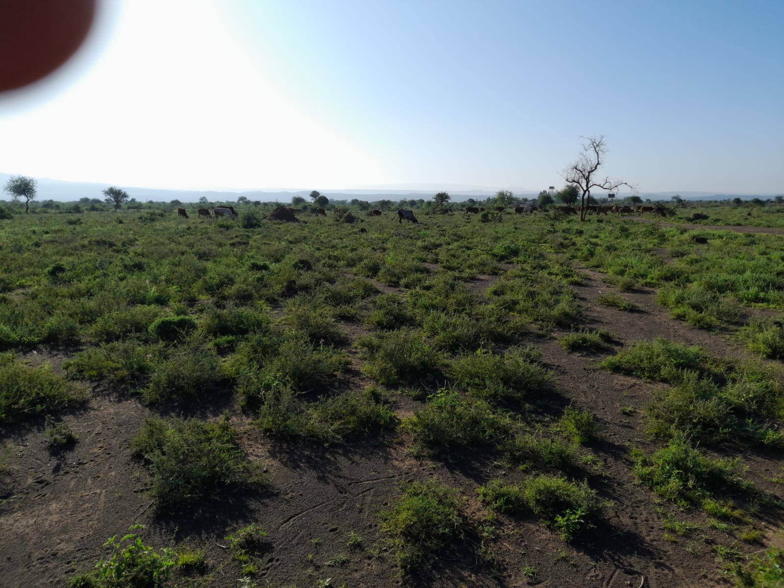 Prime plots 50 x 100 for sale in Tinga Oletepesi, Magadi road