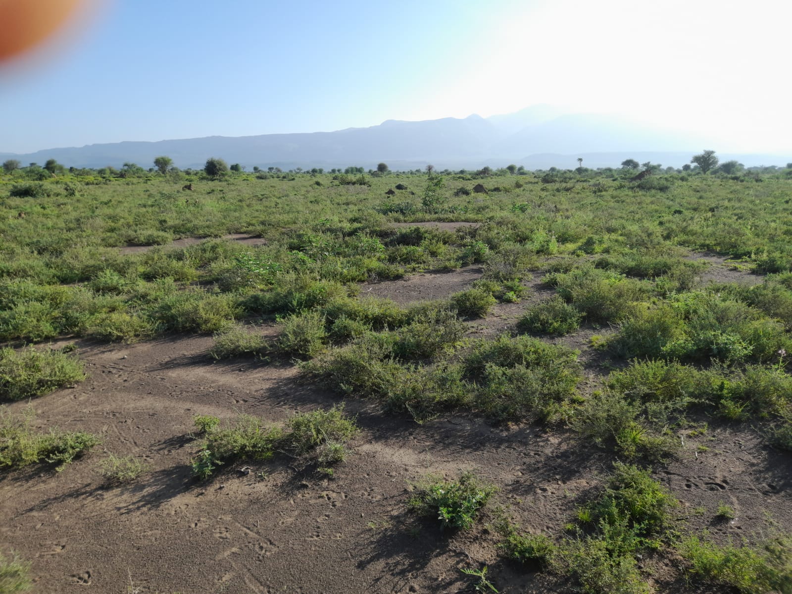 Prime plots 50 x 100 for sale in Tinga Oletepesi, Magadi road