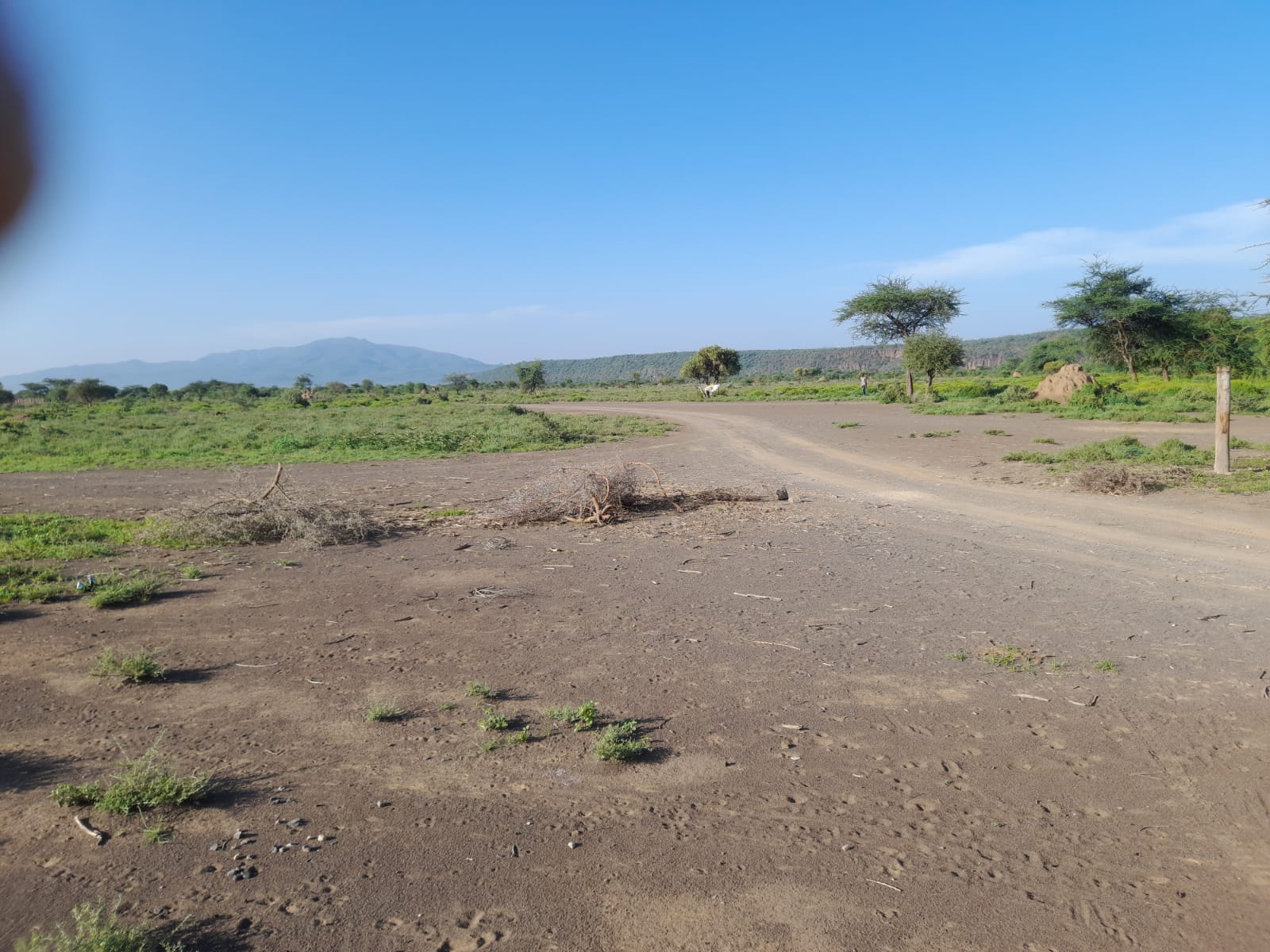 Prime plots 50 x 100 for sale in Tinga Oletepesi, Magadi road