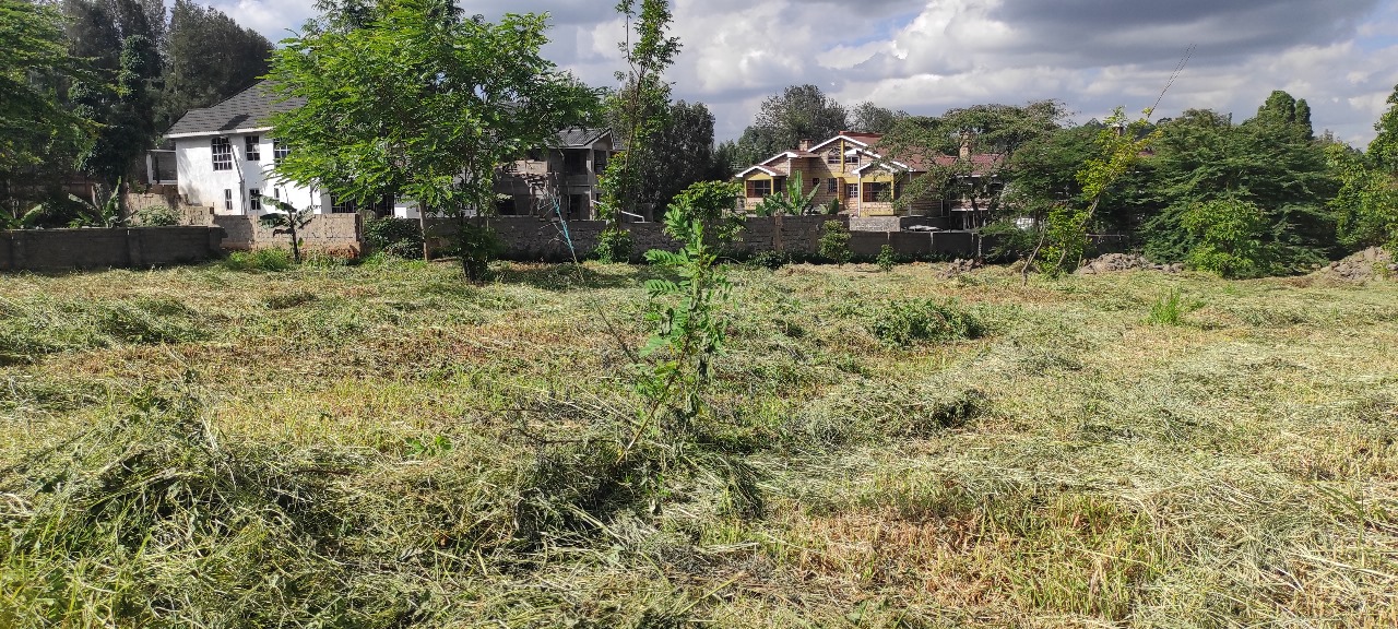 Prime Residential Property for Sale in Ngong, Maasai Road