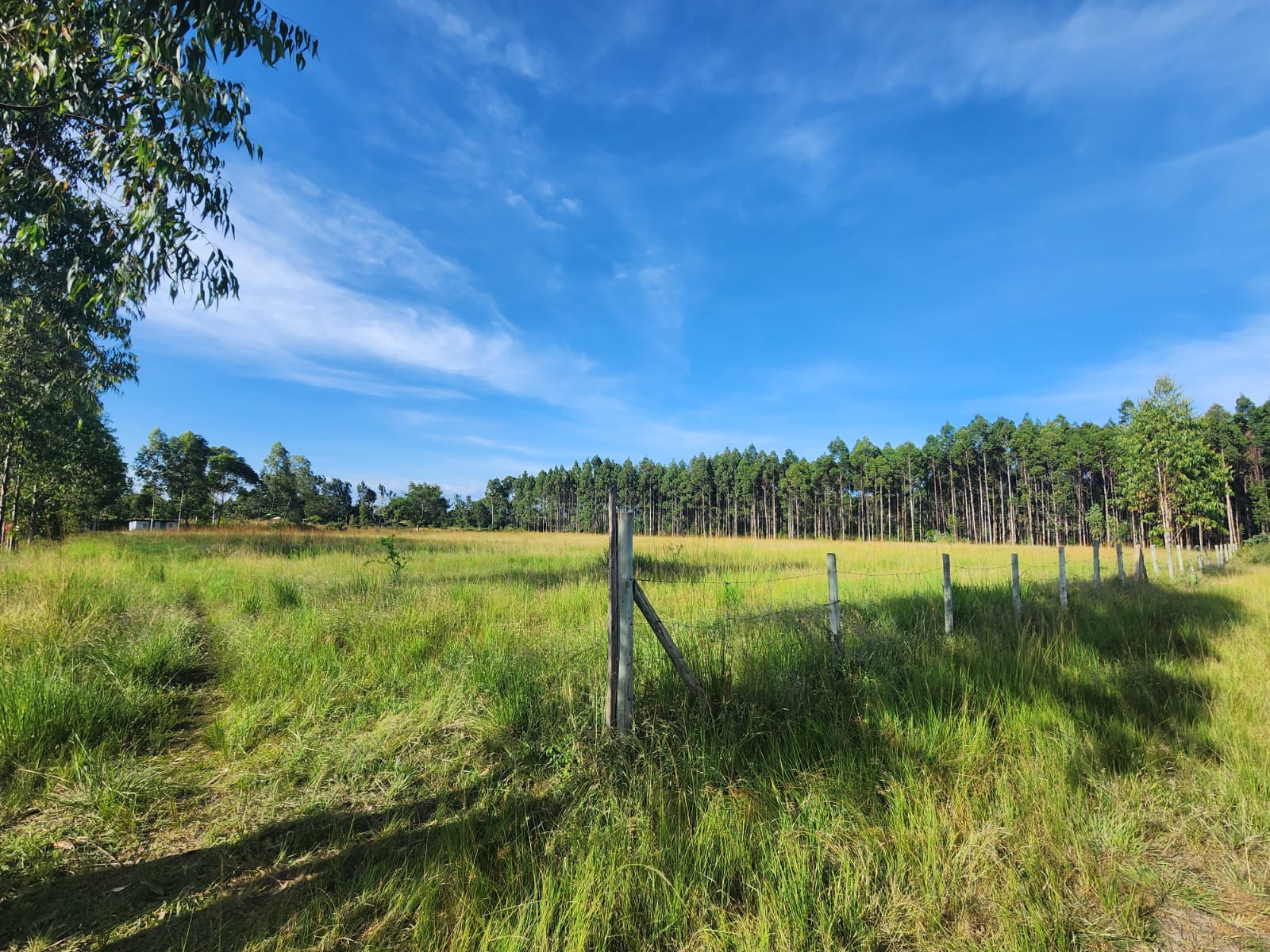 Own Your Prime Piece of Makuyu's Boom: Prime Plots for Sale!