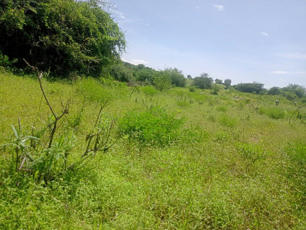 Prime Embu Land: 5 Acres with River Access & Easy Roadside Location (250k/Acre)