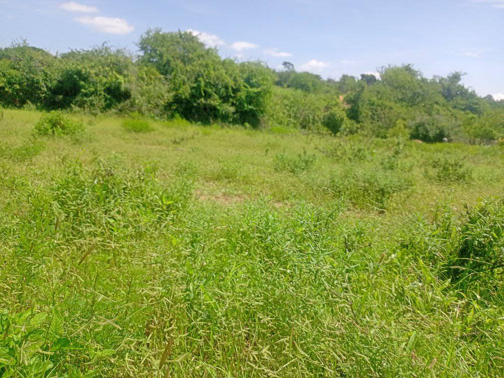 Prime Embu Land: 5 Acres with River Access & Easy Roadside Location (250k/Acre)