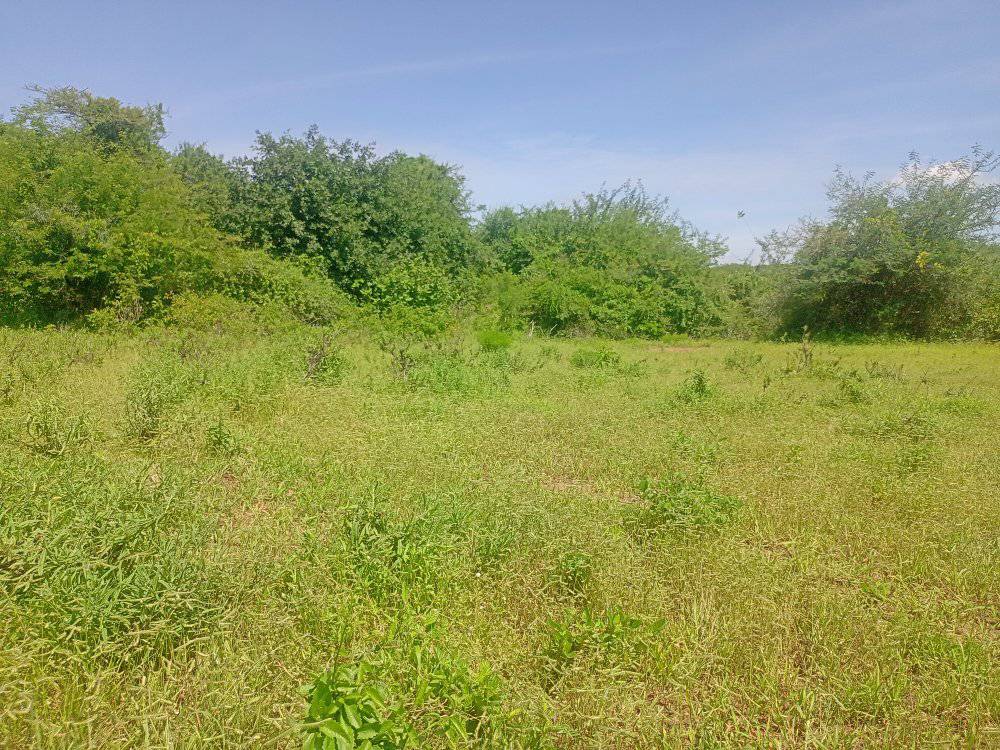 Prime Embu Land: 5 Acres with River Access & Easy Roadside Location (250k/Acre)