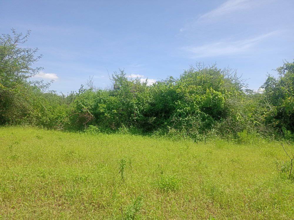 Prime Embu Land: 5 Acres with River Access & Easy Roadside Location (250k/Acre)