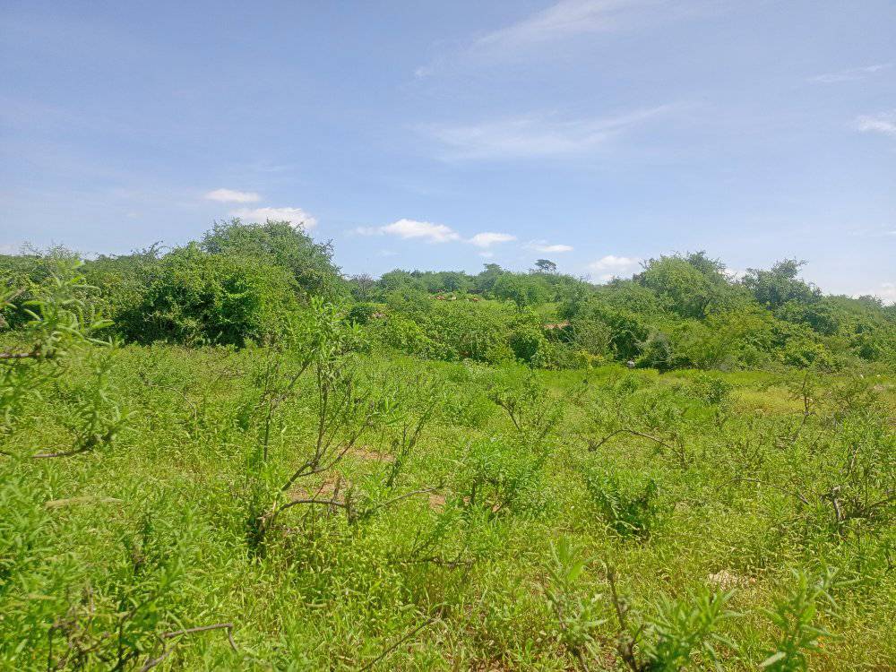 Prime Embu Land: 5 Acres with River Access & Easy Roadside Location (250k/Acre)