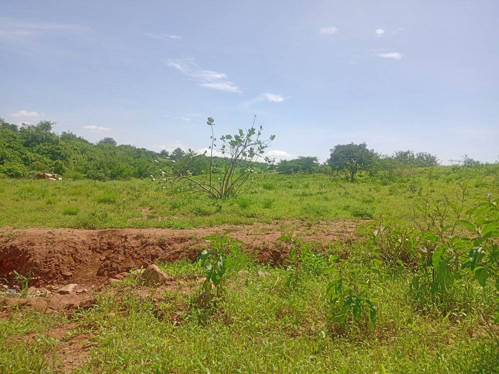 Prime Embu Land: 5 Acres with River Access & Easy Roadside Location (250k/Acre)