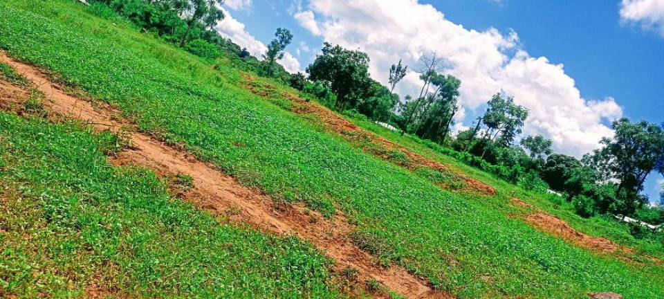 Embu County Land Sale 9.6 Acres prime land.