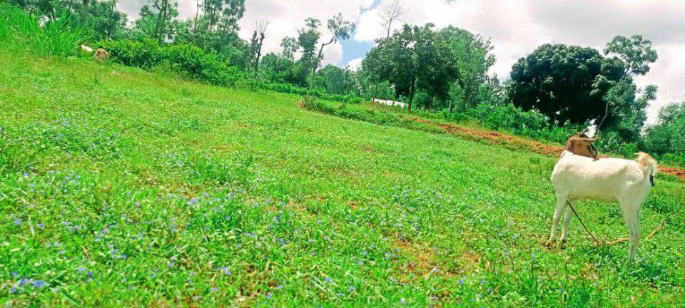 Embu County Land Sale 9.6 Acres prime land.