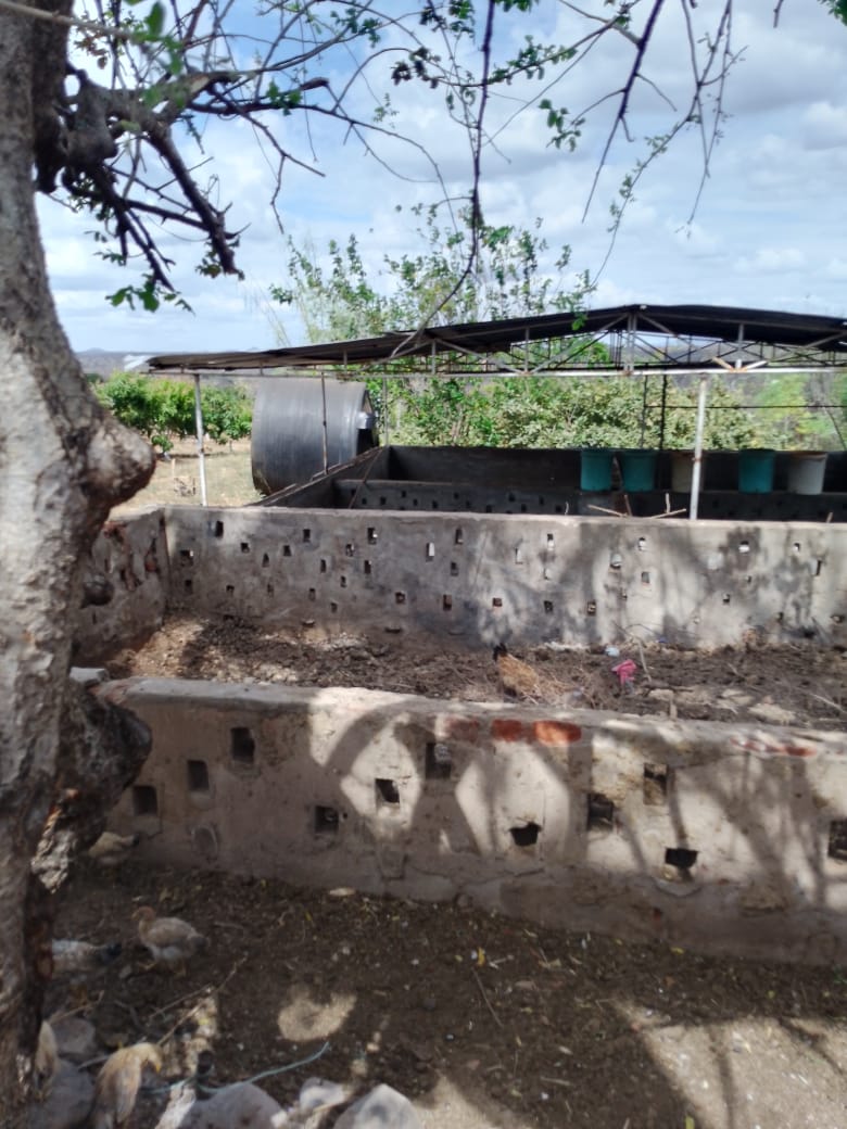 AGRICULTURAL FARM FOR SALE IN MUTOMO, KITUI COUNTY