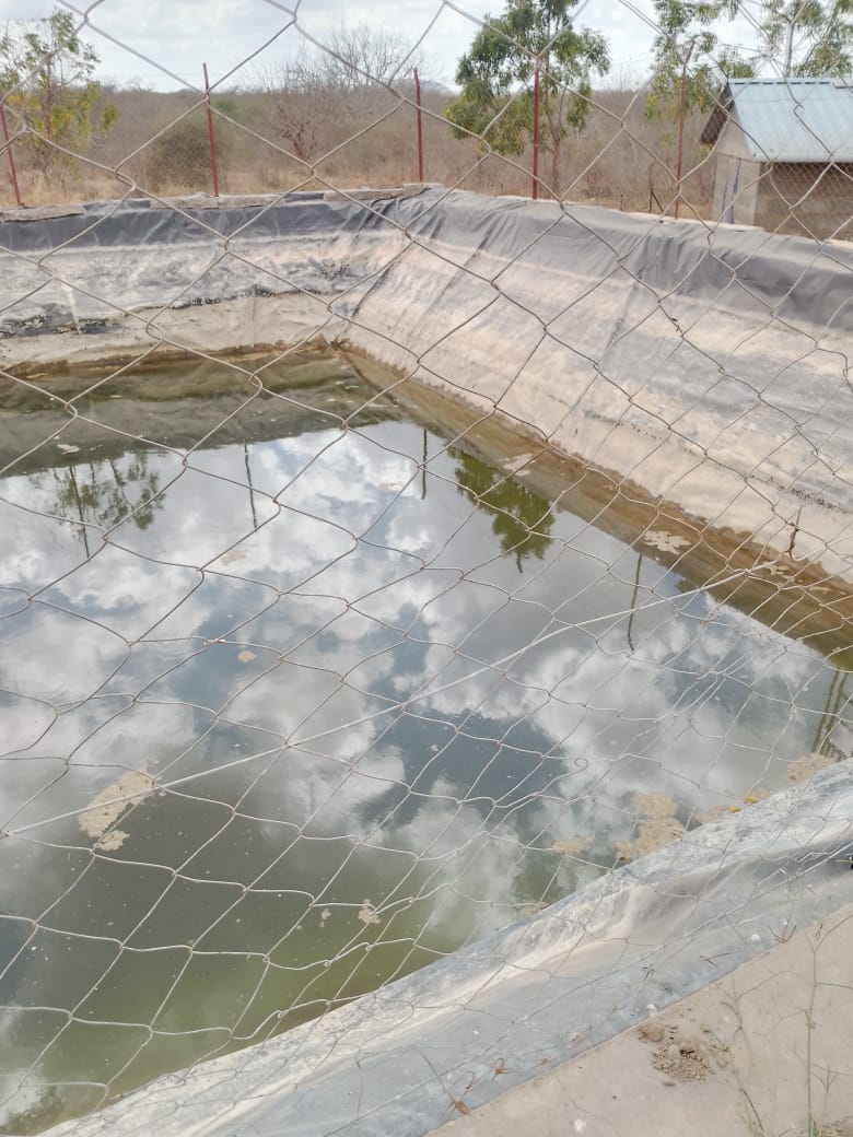 AGRICULTURAL FARM FOR SALE IN MUTOMO, KITUI COUNTY