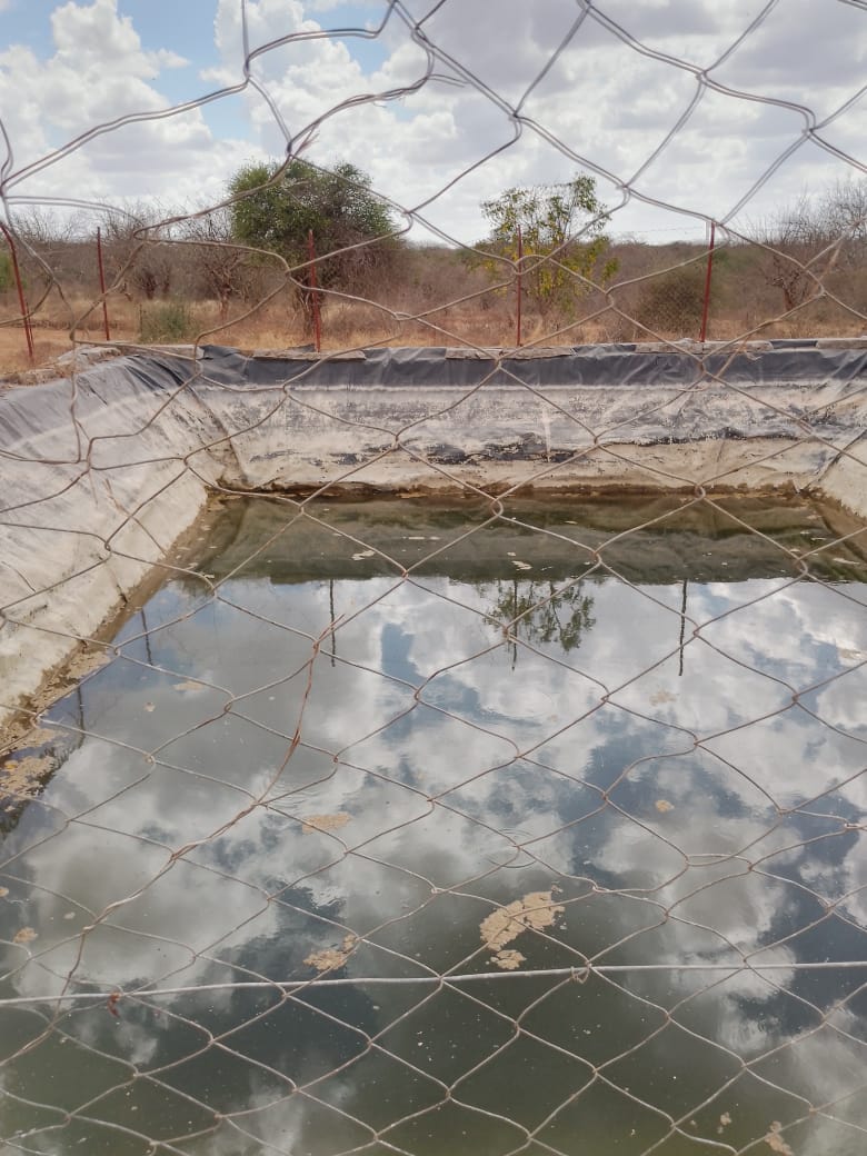 AGRICULTURAL FARM FOR SALE IN MUTOMO, KITUI COUNTY
