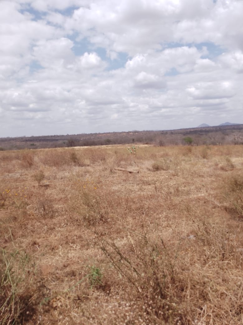 AGRICULTURAL FARM FOR SALE IN MUTOMO, KITUI COUNTY