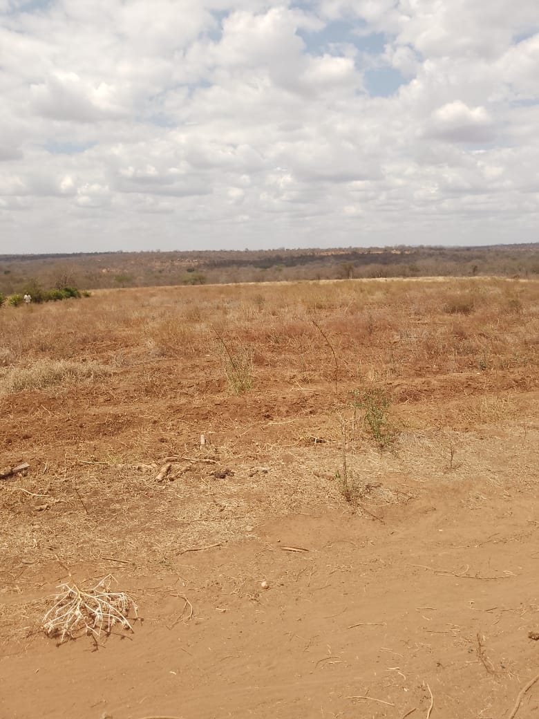 AGRICULTURAL FARM FOR SALE IN MUTOMO, KITUI COUNTY