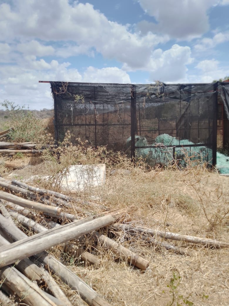 AGRICULTURAL FARM FOR SALE IN MUTOMO, KITUI COUNTY