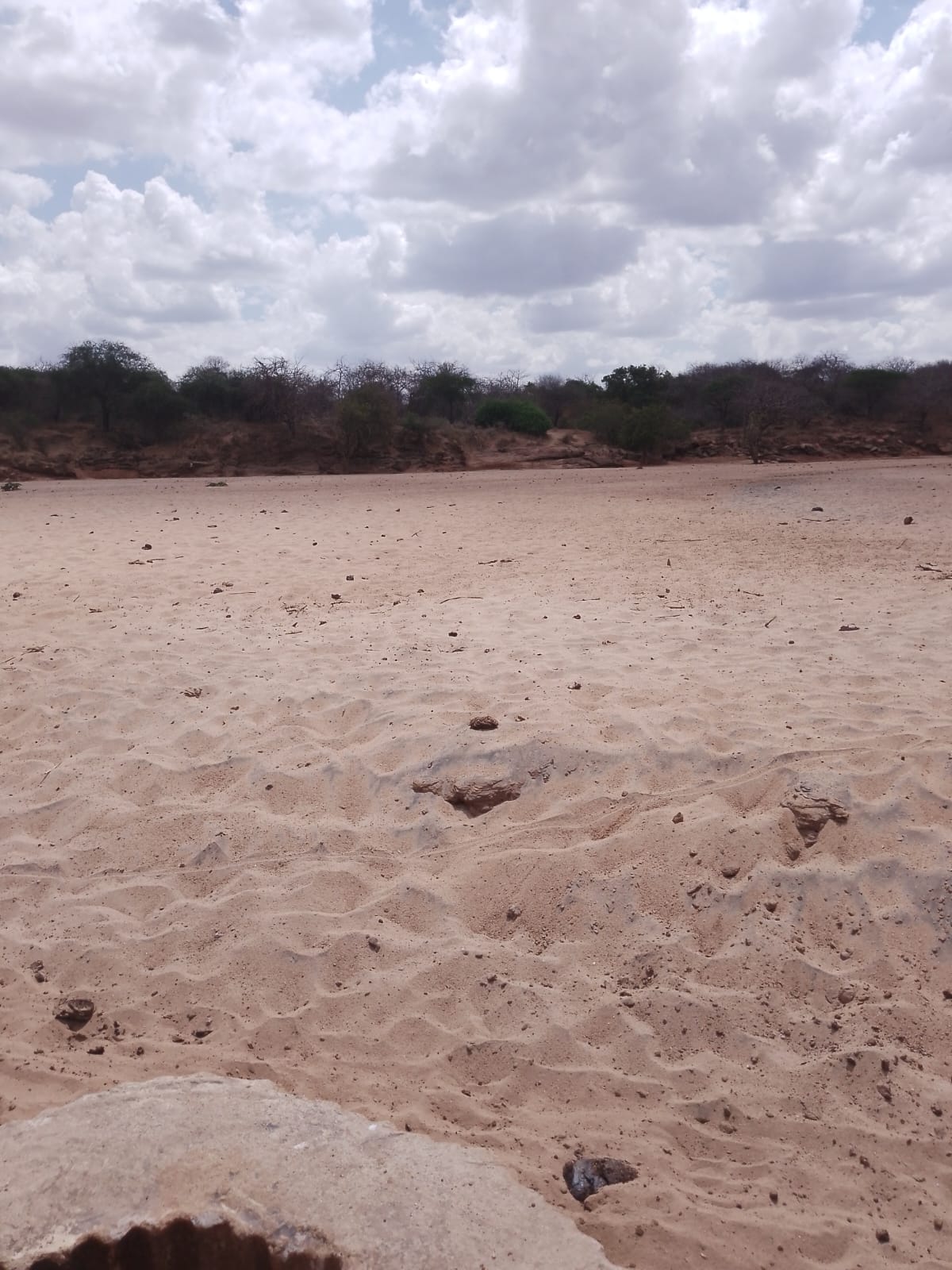 AGRICULTURAL FARM FOR SALE IN MUTOMO, KITUI COUNTY