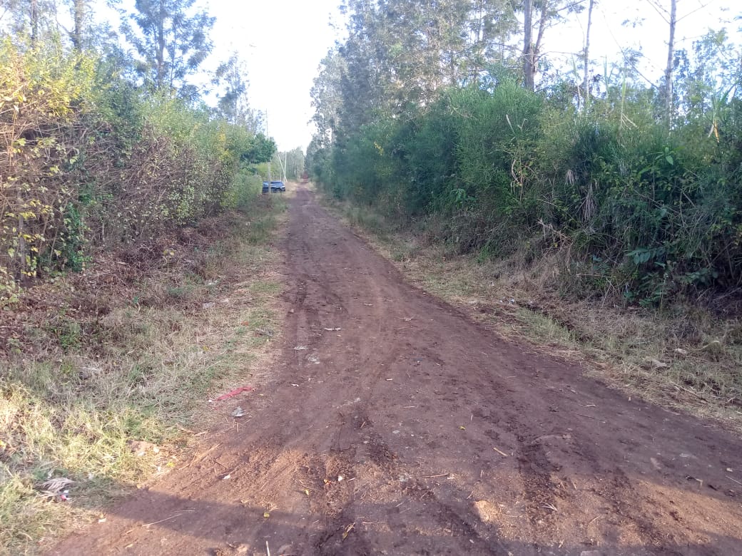 1/4 Acre Corner plot for sale In Makuyu at Ksh 3.6M