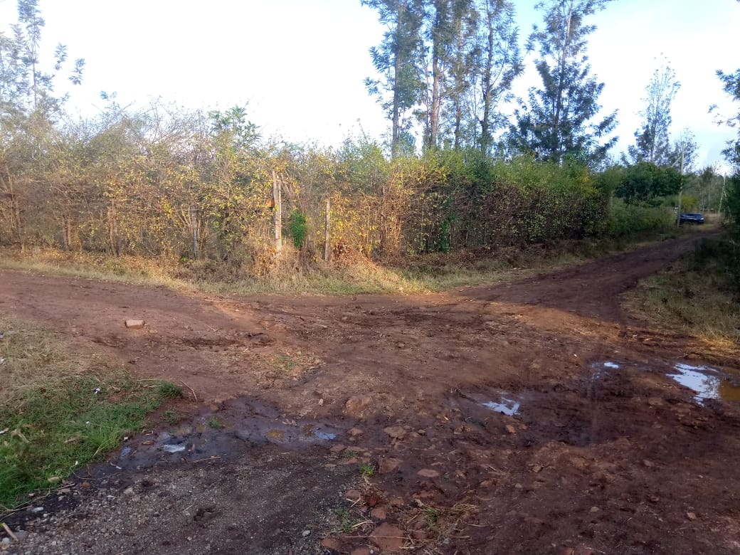 1/8 Acre plot for Sale in Makuyu at Ksh 1.2 M