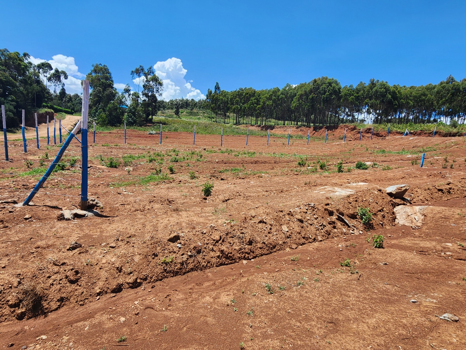 Own Your Dream Plot Now! 50ft x 100ft with Title Deed in Vema Court Phase II, Kamangu
