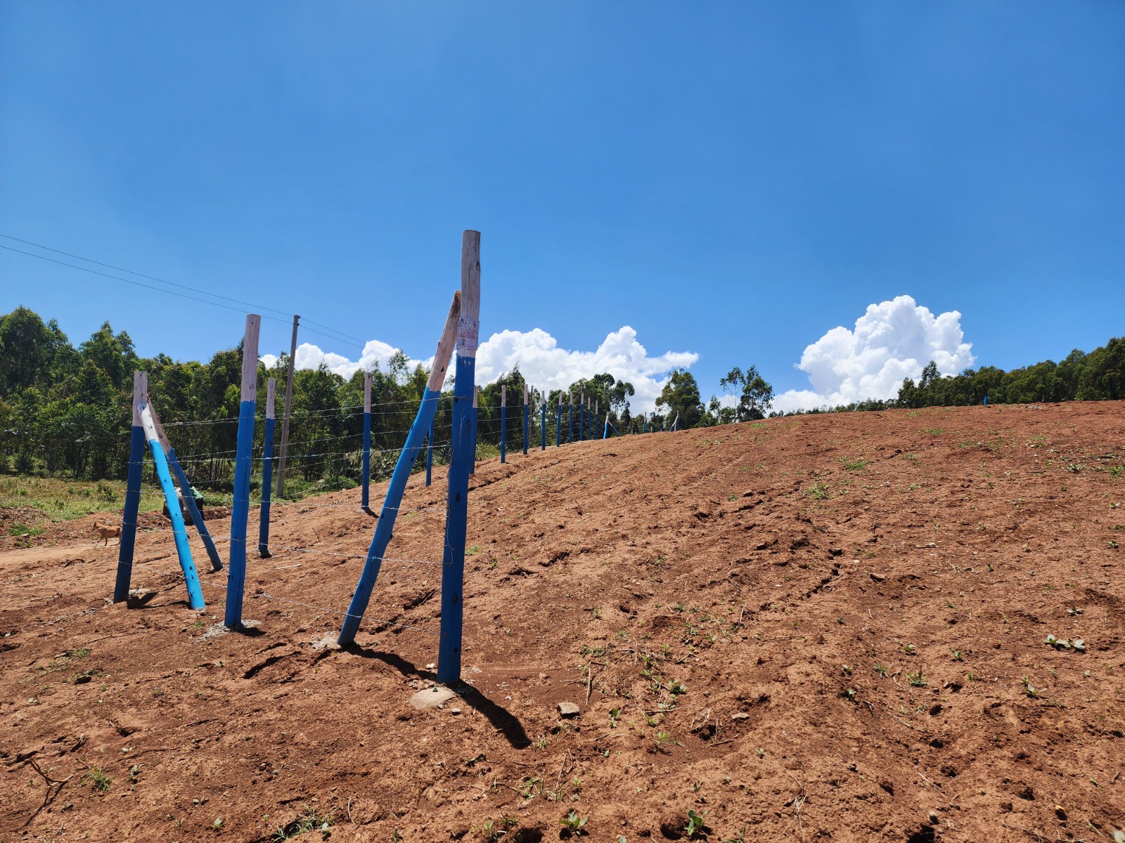 Own Your Dream Plot Now! 50ft x 100ft with Title Deed in Vema Court Phase II, Kamangu