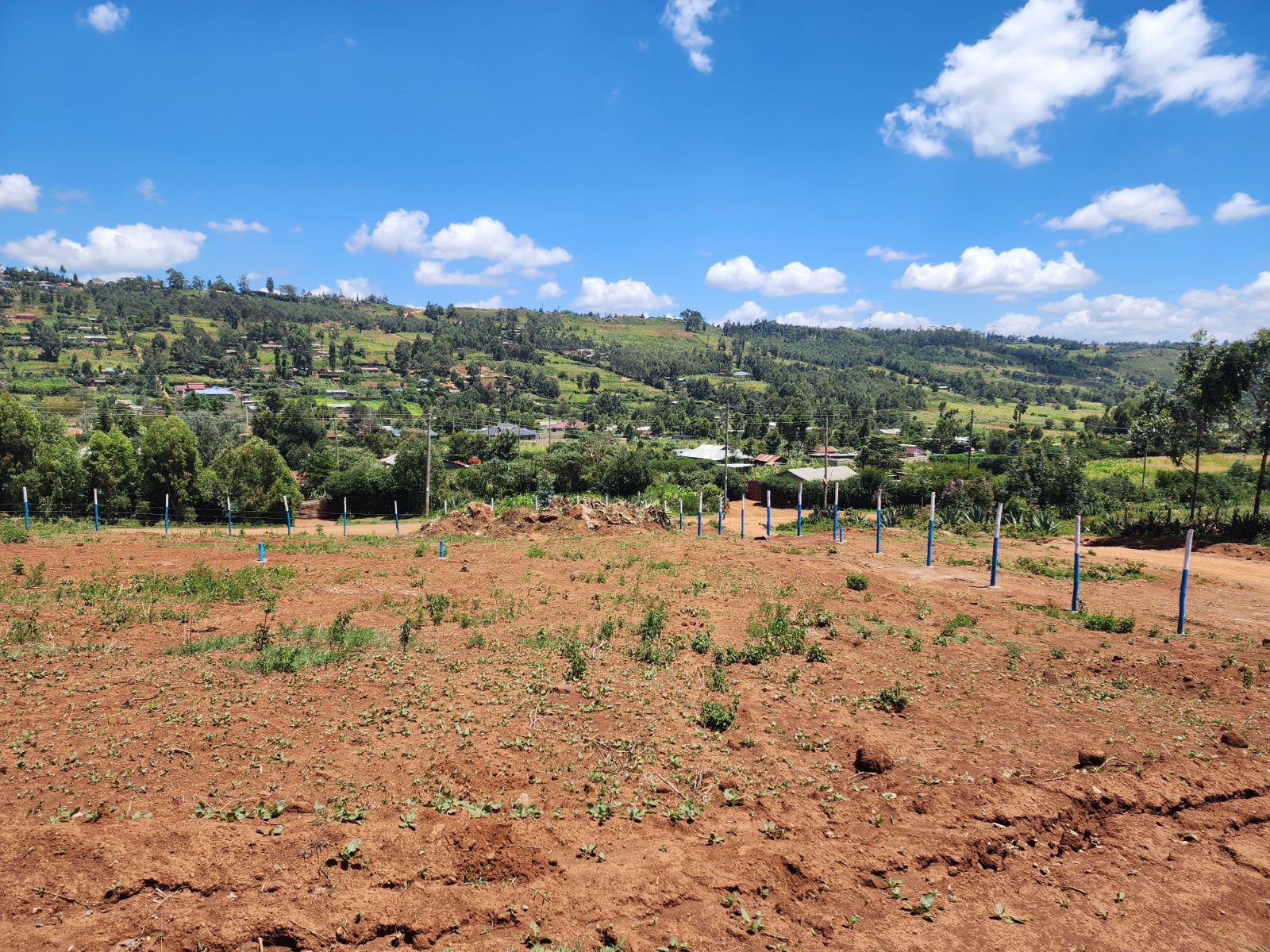 Own Your Dream Plot Now! 50ft x 100ft with Title Deed in Vema Court Phase II, Kamangu