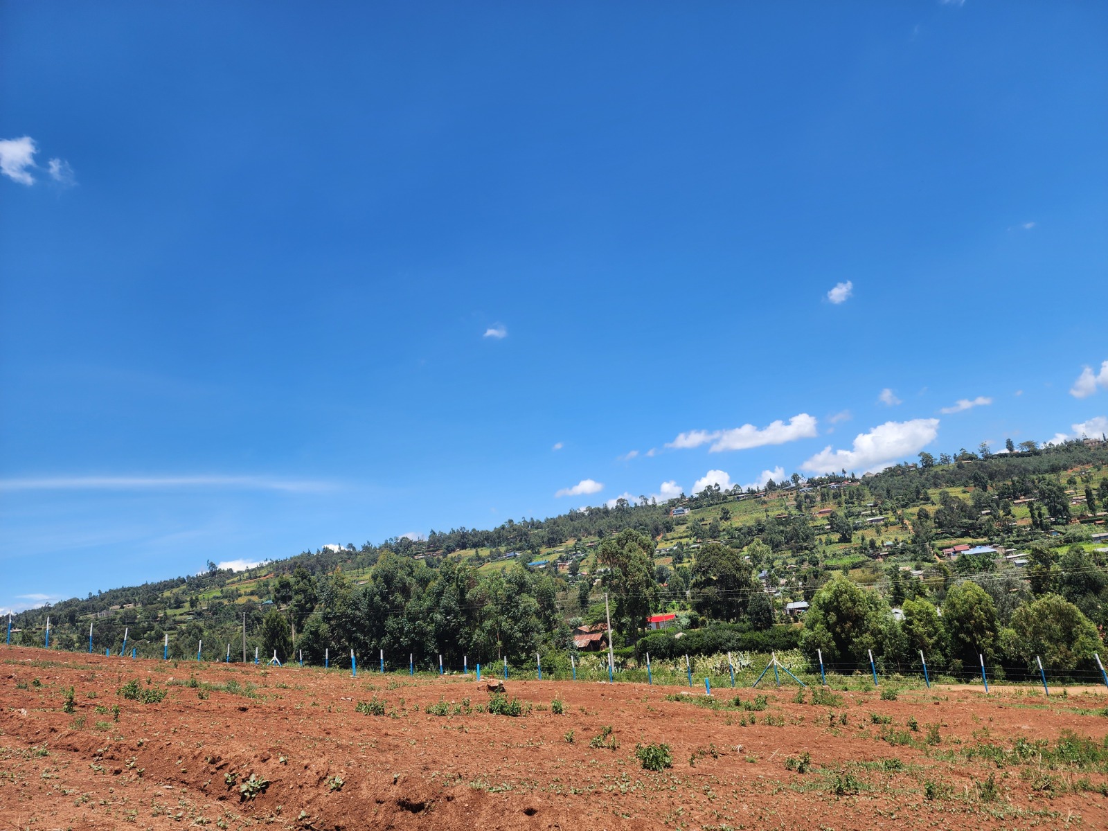 Own Your Dream Plot Now! 50ft x 100ft with Title Deed in Vema Court Phase II, Kamangu