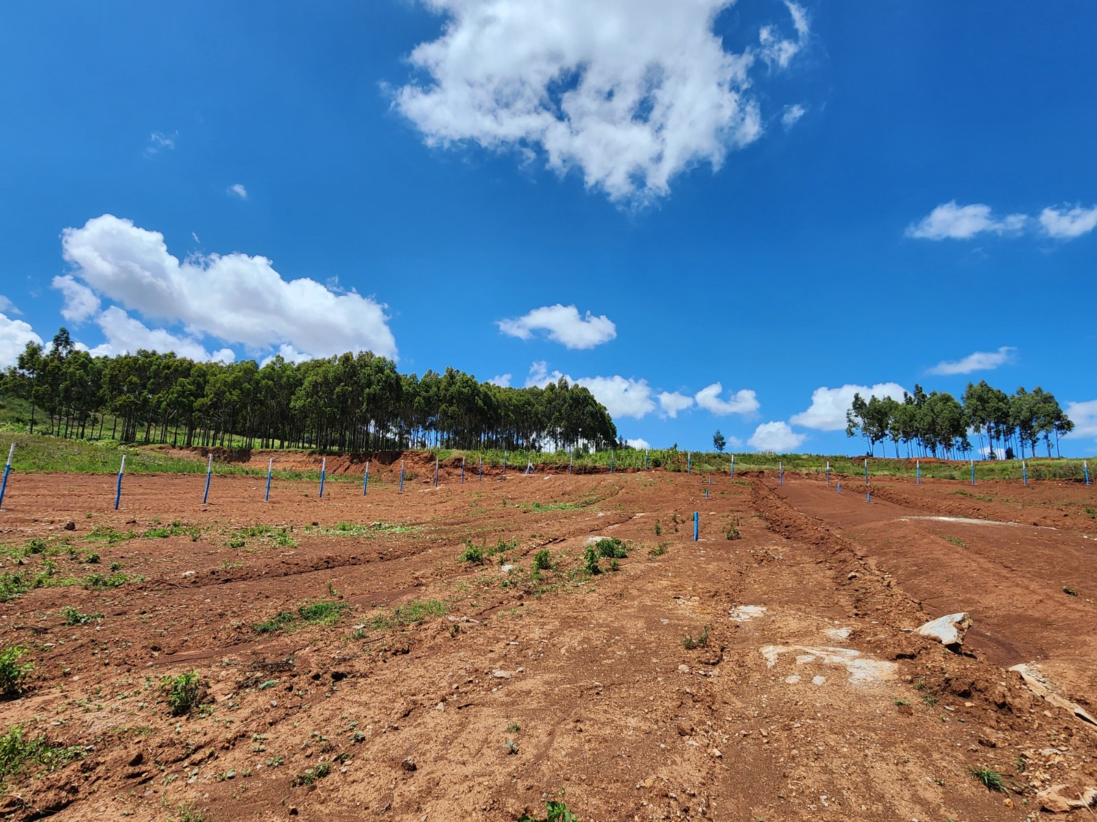 Own Your Dream Plot Now! 50ft x 100ft with Title Deed in Vema Court Phase II, Kamangu
