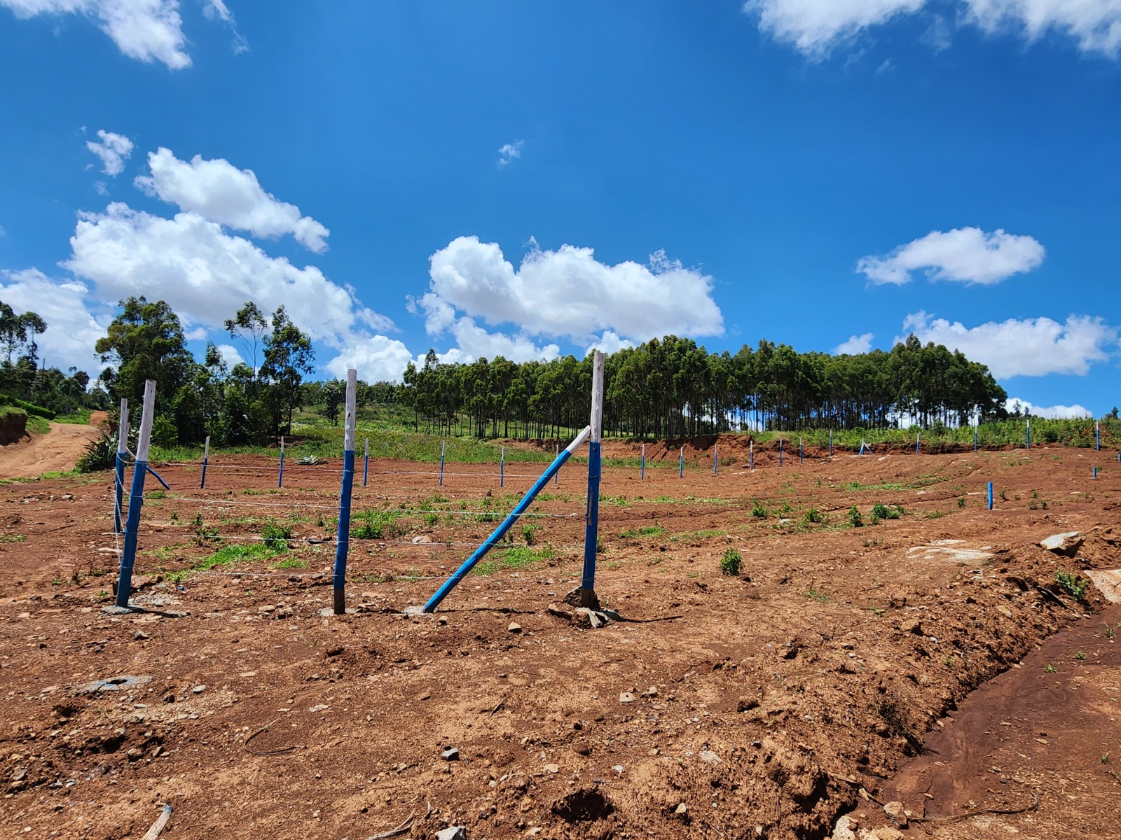 Own Your Dream Plot Now! 50ft x 100ft with Title Deed in Vema Court Phase II, Kamangu