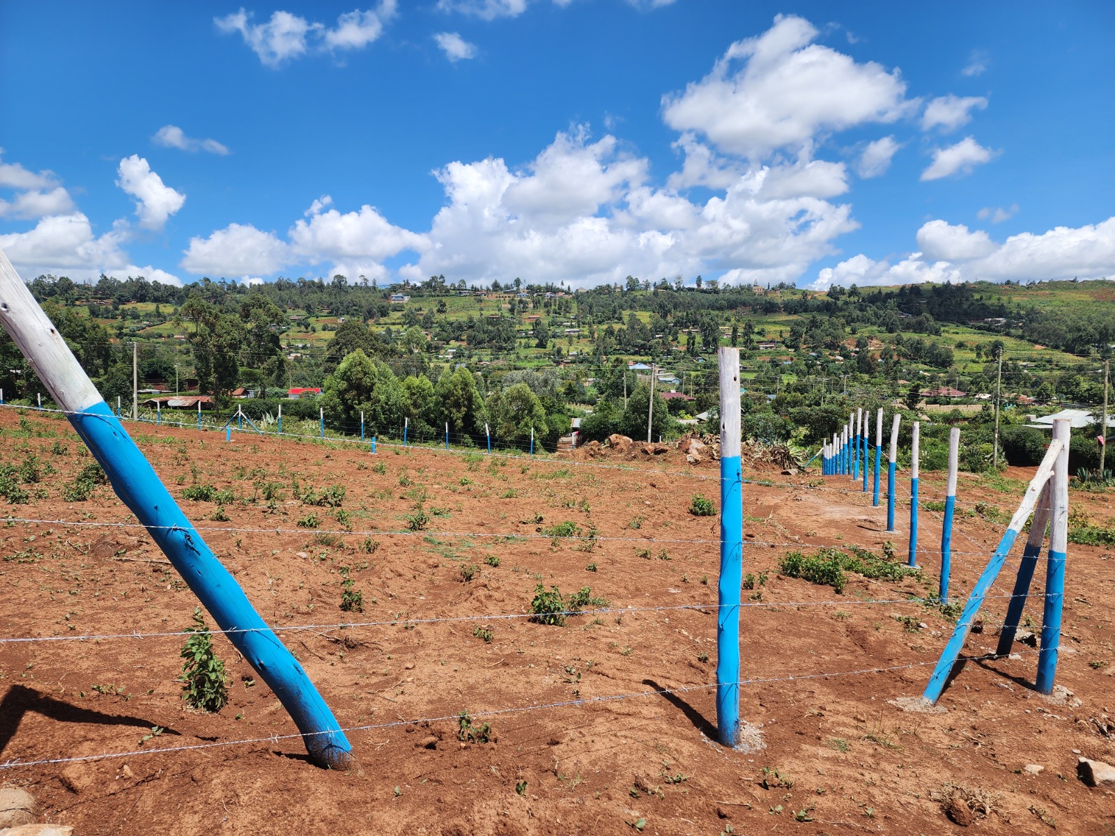 Own Your Dream Plot Now! 50ft x 100ft with Title Deed in Vema Court Phase II, Kamangu