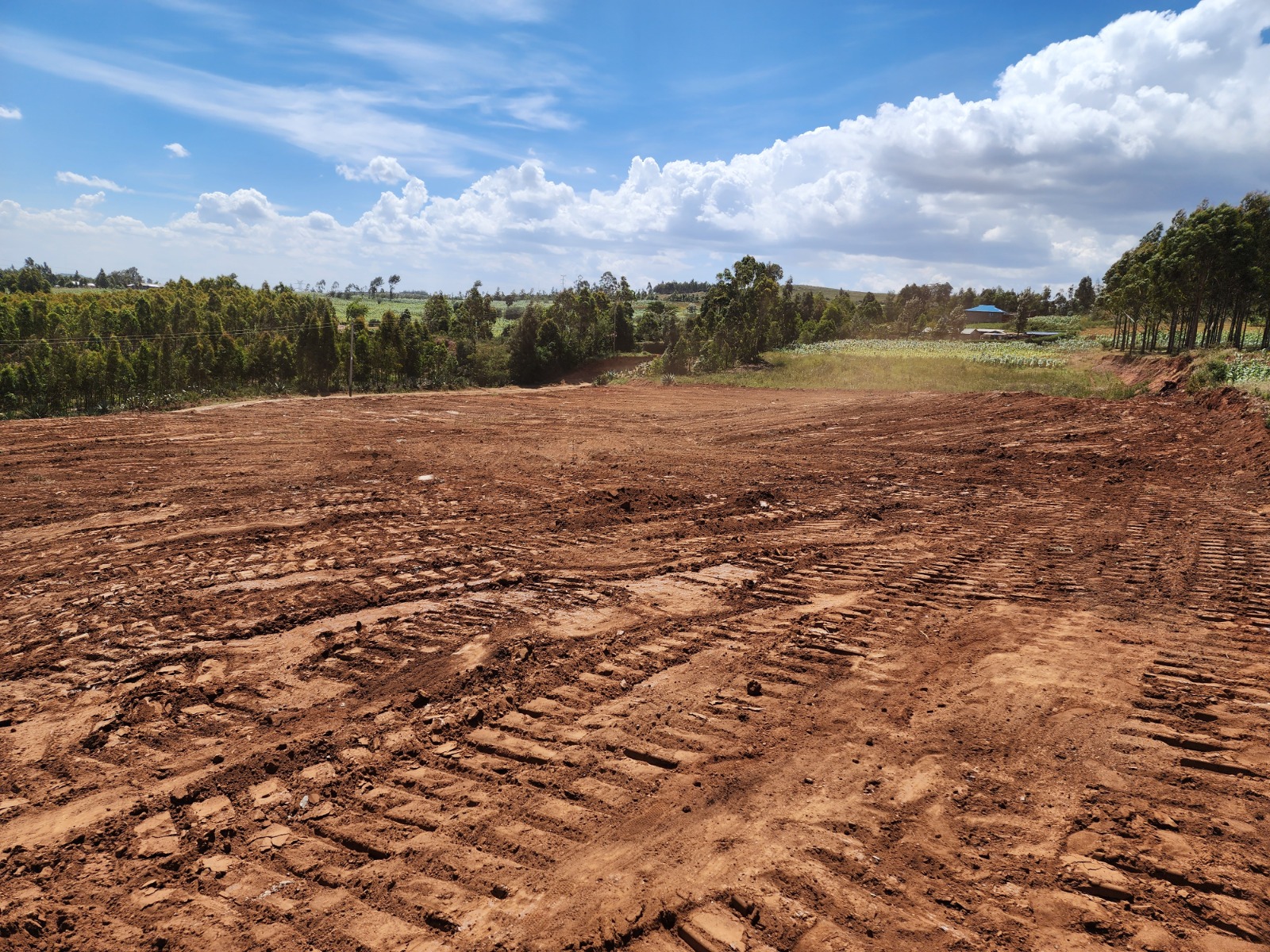 Own Your Dream Plot Now! 50ft x 100ft with Title Deed in Vema Court Phase II, Kamangu