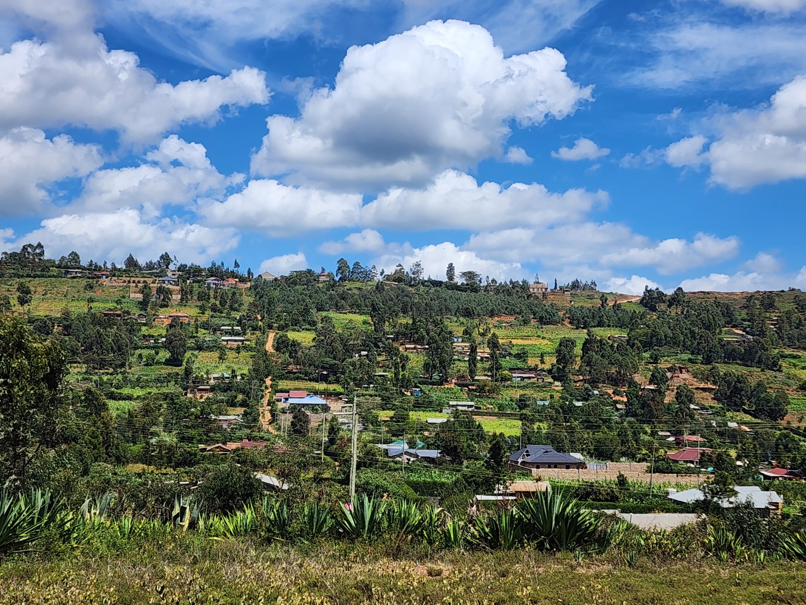 Own Your Dream Plot Now! 50ft x 100ft with Title Deed in Vema Court Phase II, Kamangu