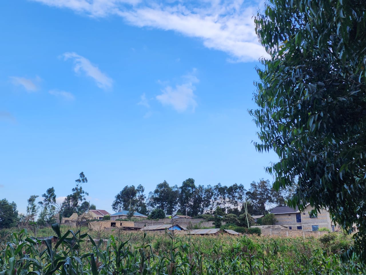 Own Your Dream Plot Now! 50ft x 100ft with Title Deed in Vema Court Phase II, Kamangu