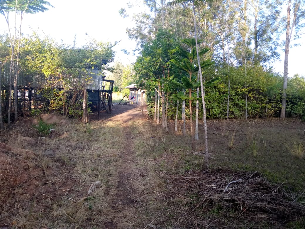 1/8 Acre plot for Sale in Makuyu at Ksh 1.2 M
