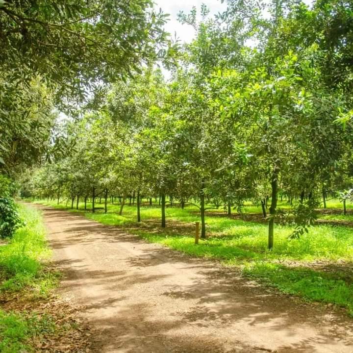 Prime Executive gated community for sale. 1/8, 1/4 and 1/2 Acre plots