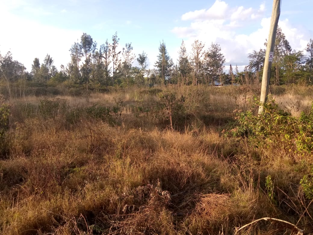 1/8 Acre plot for Sale in Makuyu at Ksh 1.2 M