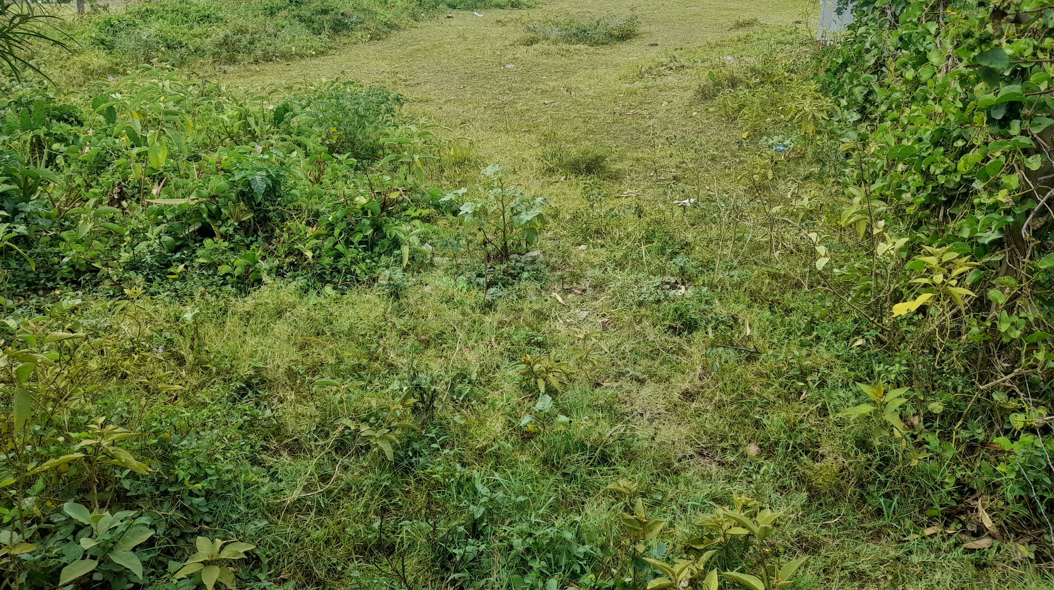 Prime Plot for Sale – 100m from Katito-Kendu Bay Road