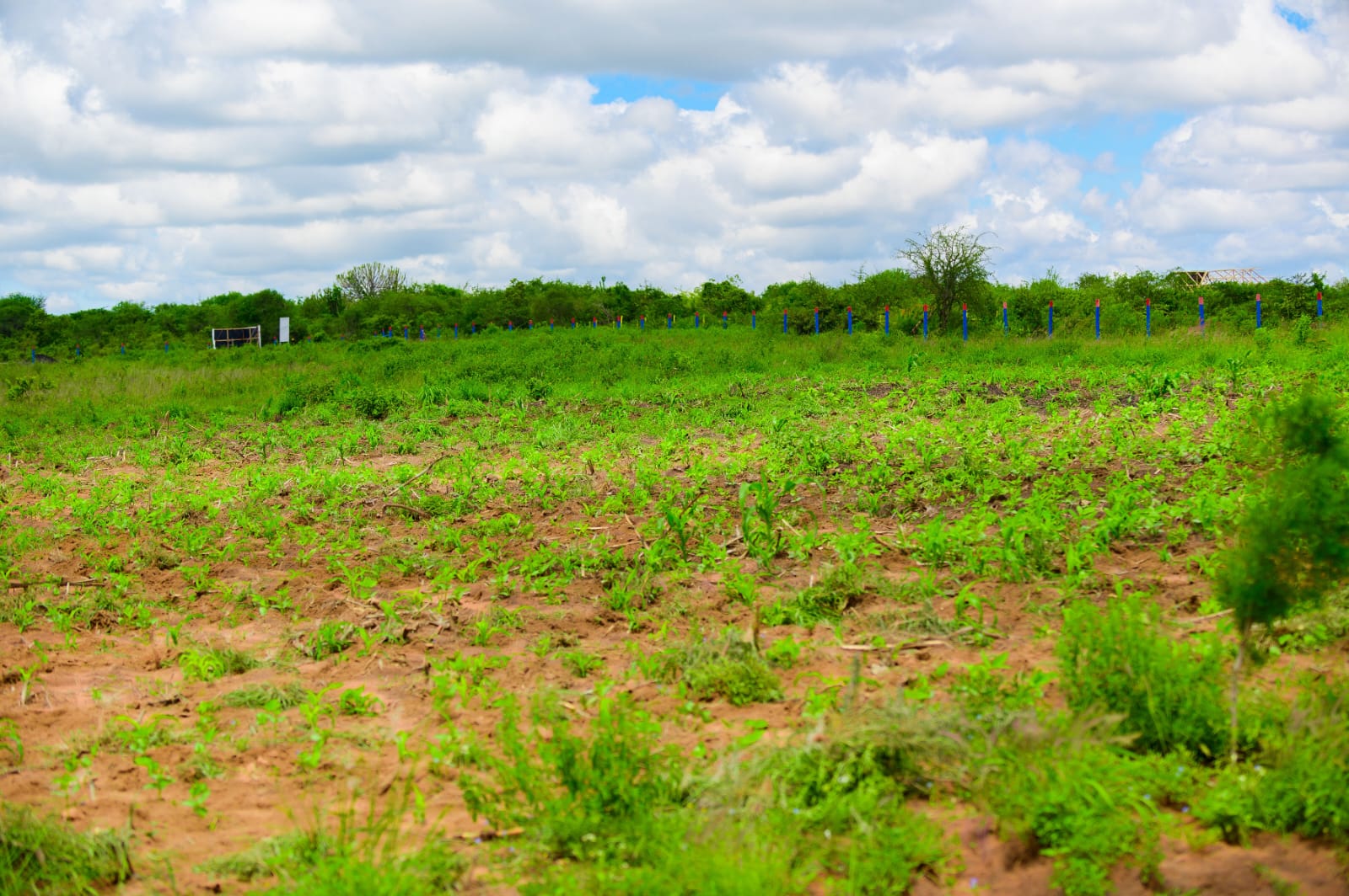 Matuu prime plots for sale 